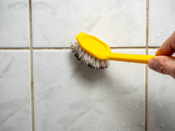 Best Mold Remediation  in Sheridan, CA